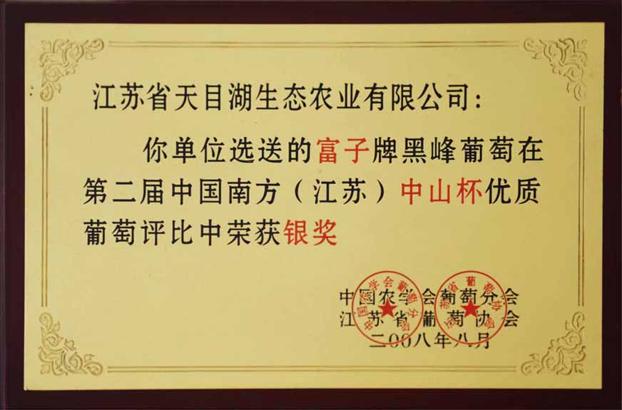 第二屆中國(guó)南方中山杯評(píng)比銀獎(jiǎng)富子