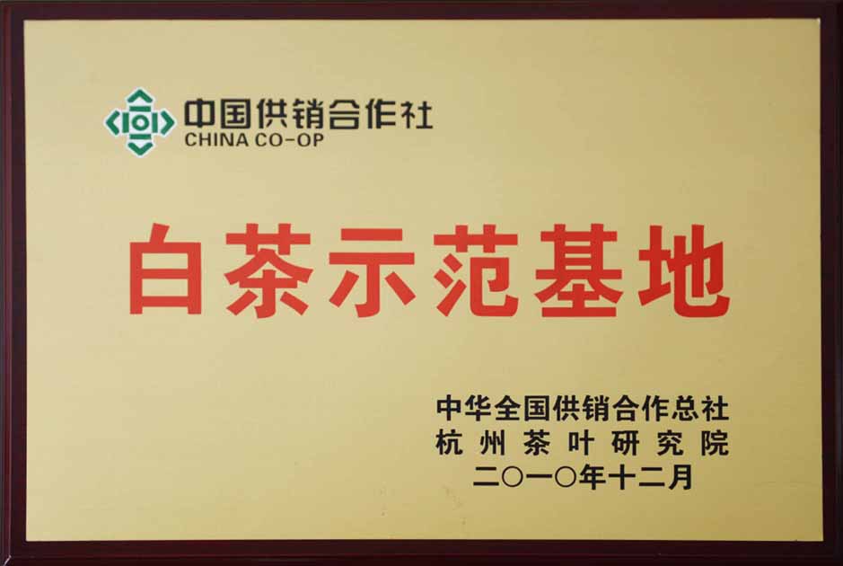 白茶示范基地