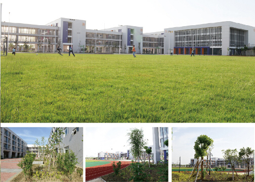 溧陽市中關村實驗小學