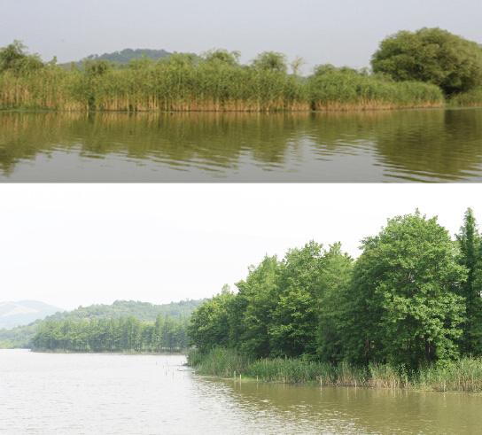 天目湖國(guó)家濕地公園